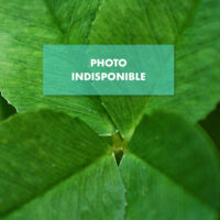 Photo indisponible